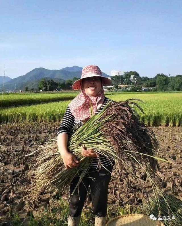 喜报!孟连县1人荣获“全国巾帼建功标兵”称号(图3) 喜报!孟连县1人荣获“全国巾帼建功标兵”称号(图3)