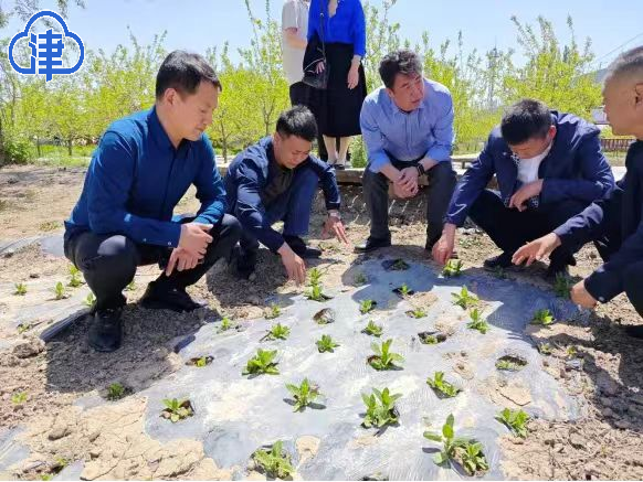 雪域高原上的深厚民族情谊 单长见荣获全国民族团结进步模范个人称号(图2)