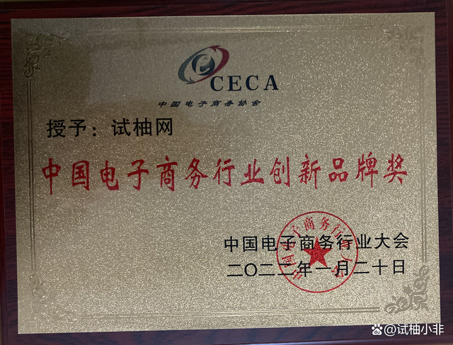 试柚网荣获“中国电子商务行业创新品牌奖”荣誉称号(图1)