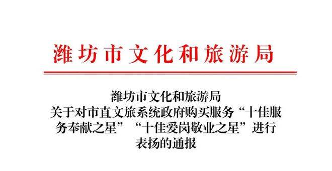 潍坊王亚男荣获“十佳服务奉献之星”荣誉称号(图1)