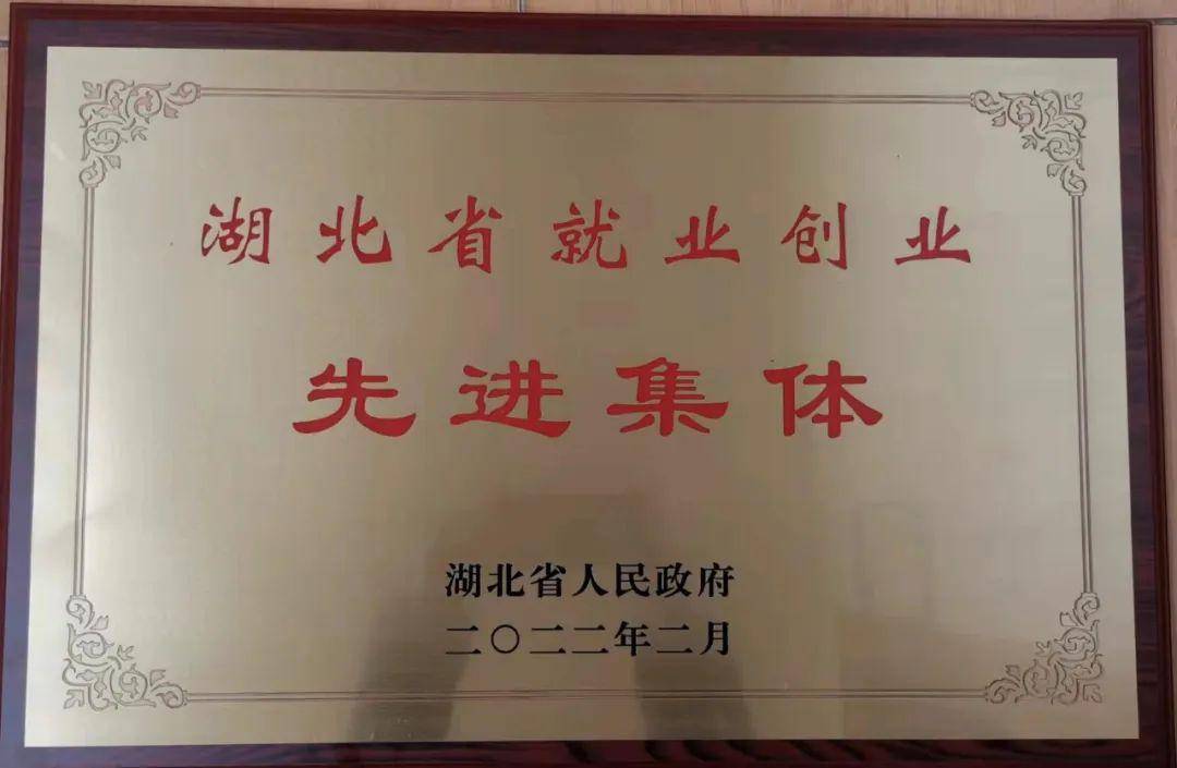 市财政局荣获“湖北省就业创业先进集体”荣誉称号(图1)