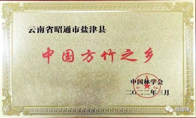 盐津获“中国方竹之乡” 荣誉称号(图1)
