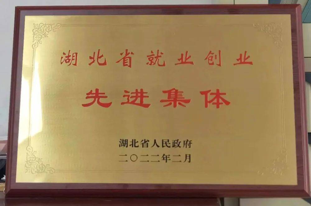 喜讯！大悟县总工会荣获“湖北省就业创业先进集体”荣誉称号(图2)