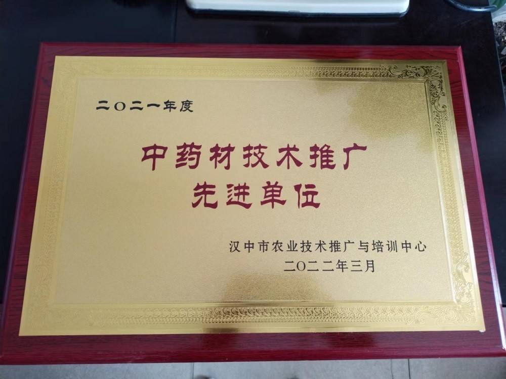 洋县荣获汉中市“中药材技术推广先进单位”荣誉称号(图1)