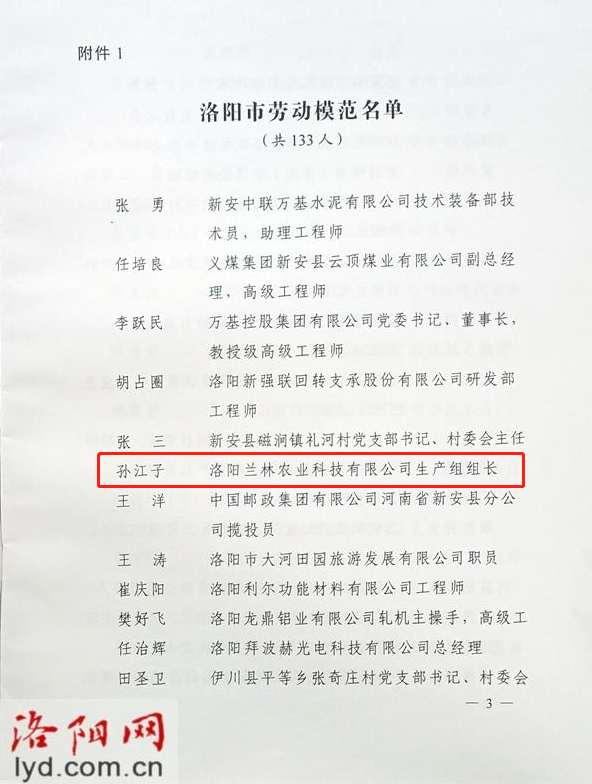 奋斗谱写辉煌——孙江子同志被授予“洛阳市劳动模范”荣誉称号(图3)