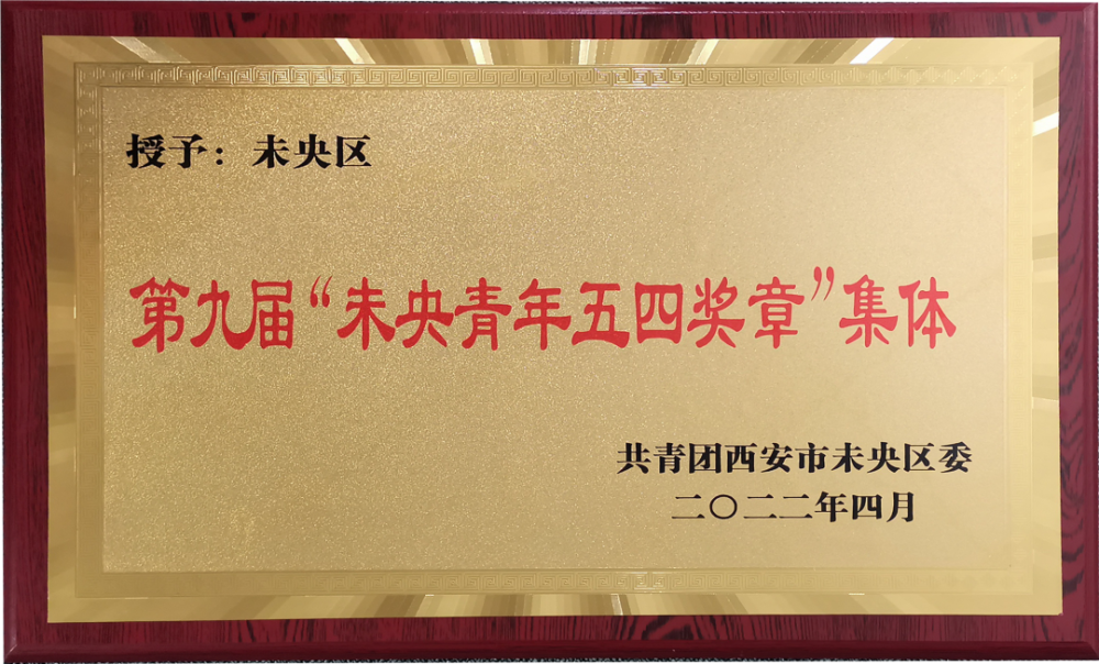 西安汉城湖实业有限公司荣获未央青年五四奖章（集体）荣誉(图3)