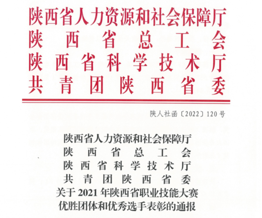 这个洋县娃荣获“陕西省技术能手”称号(图1)