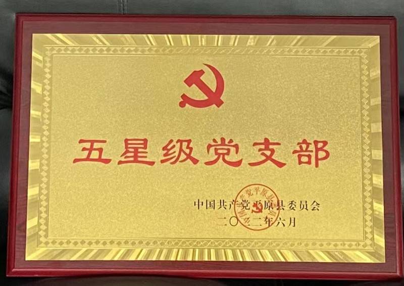 平原分中心党支部获得“五星级党支部”荣誉称号(图1)