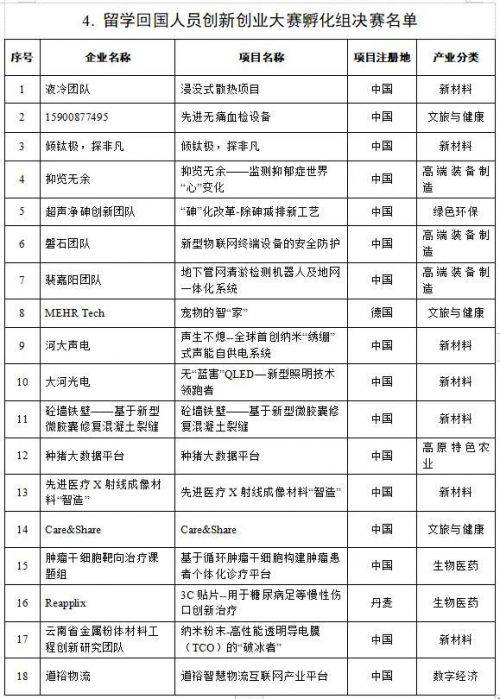 首届云南国际创新创业大赛初赛精彩回顾及决赛名单公布(图10)