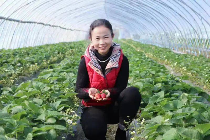 祝贺！我区3人荣获省劳模、先进工作者称号！(图4)