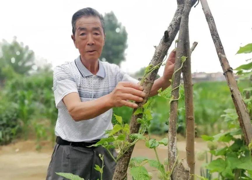 顺义区3名同志和1个群体获第十三届“首都见义勇为好市民”称号(图1)