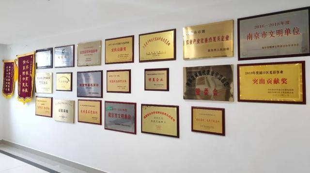 喜报！盘城街道3家企业（社区）荣获南京市放心消费创建示范单位、区域荣誉称号(图5)