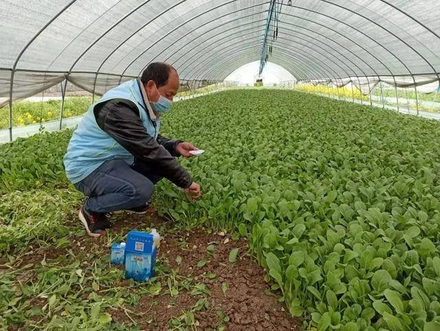 喜报！盘城街道3家企业（社区）荣获南京市放心消费创建示范单位、区域荣誉称号(图12)