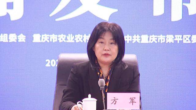 第二届印迹乡村创意设计大赛总决赛将在重庆市梁平区举行(图2)