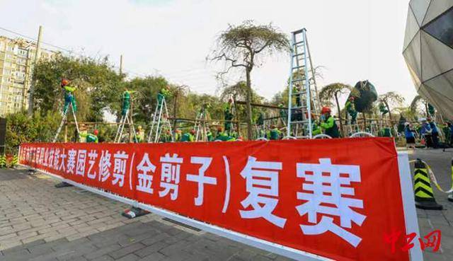 2023年北京市职工职业技能大赛——第四届园林绿化树木修剪“金剪子”大赛即将拉开帷幕(图1)