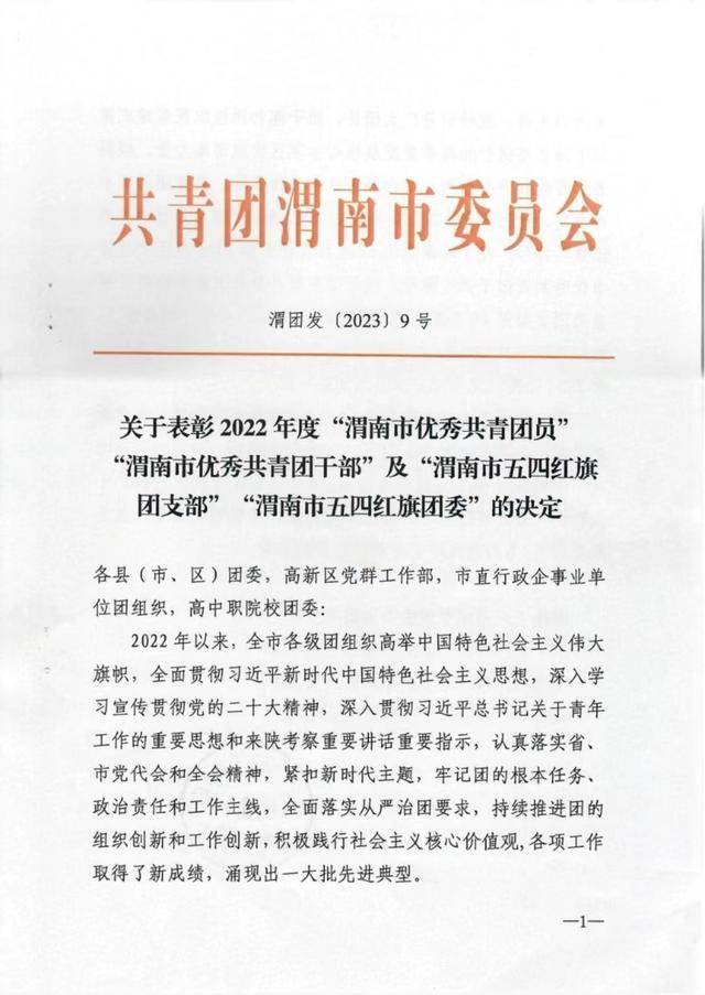 喜报来啦——大荔团县委获得“2022年度共青团工作优秀奖”荣誉称号(图4)
