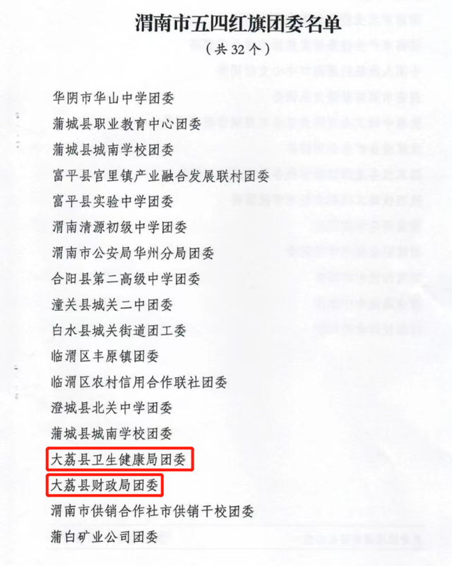 喜报来啦——大荔团县委获得“2022年度共青团工作优秀奖”荣誉称号(图6)