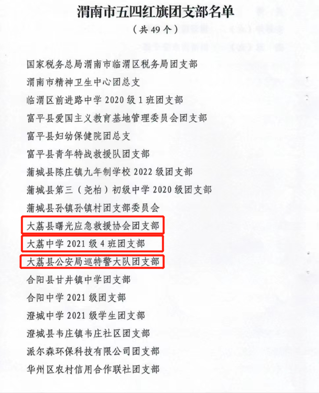 喜报来啦——大荔团县委获得“2022年度共青团工作优秀奖”荣誉称号(图7)