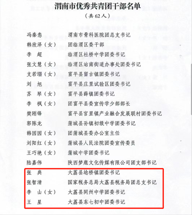 喜报来啦——大荔团县委获得“2022年度共青团工作优秀奖”荣誉称号(图8)
