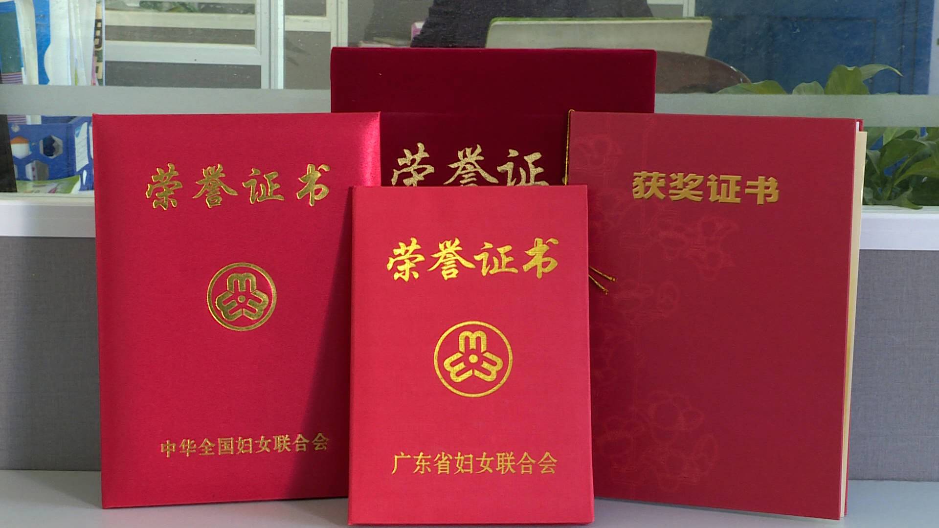 吴爱民又获殊荣获全国“三八”红旗手称号(图4)