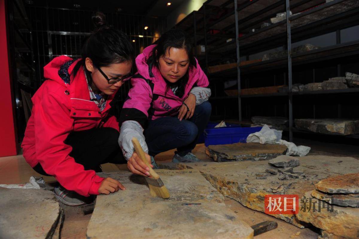 两名女性地质工作者荣获“湖北省三八红旗手”荣誉称号(图2)