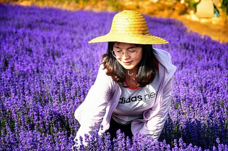 李敏获“全国巾帼建功标兵”荣誉称号(图3)