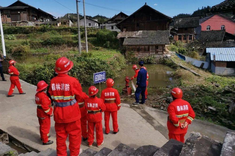 喜报｜“她们”荣获三八红旗手、三八红旗集体称号(图11)