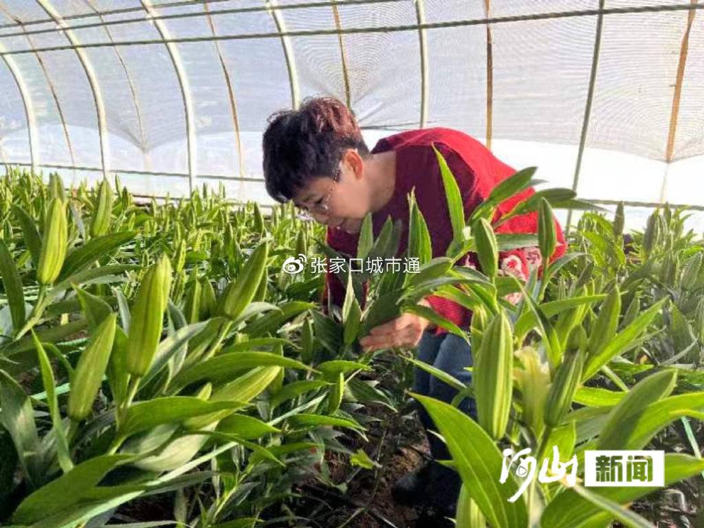 孙喜玲获全国三八红旗手称号(图1)