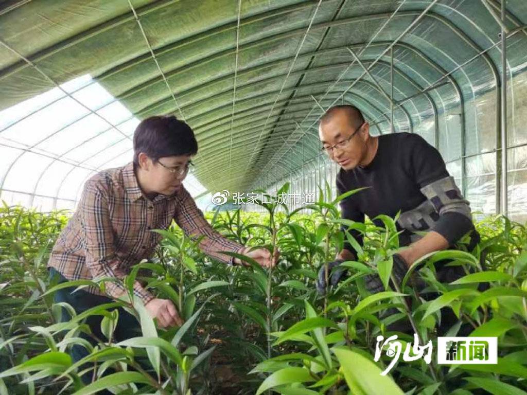 孙喜玲获全国三八红旗手称号(图3)