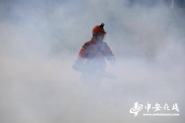 安徽举办全省应急行业职业技能大赛暨第一届森林防灭火技能竞赛(图4)