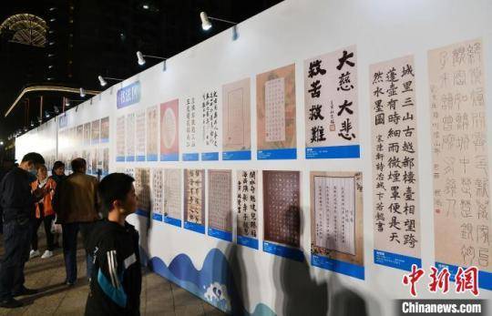 图为4月8日晚，福州市民在观看展出的书法获奖作品。　张斌 摄