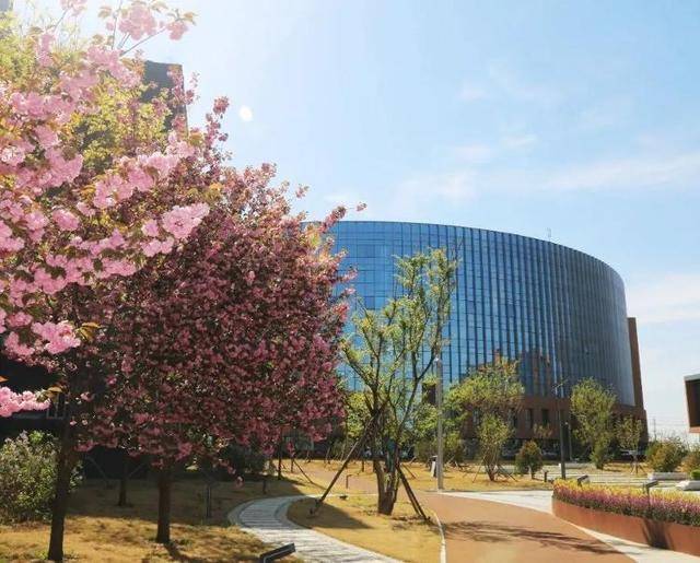 齐鲁创智园荣获“山东省省级新型智慧城市科普展示中心”荣誉称号(图12)