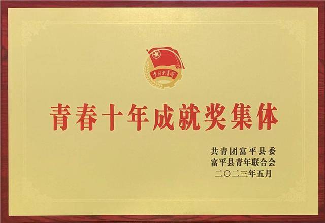 青春向法治 奋斗正当时——富平法院淡村法庭荣获“富平县青春十年成就奖集体”荣誉称号(图2)