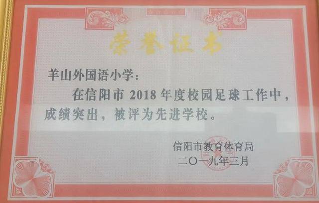 羊山外国语小学体艺教师团队荣获“信阳青年五四奖章集体”称号(图3)