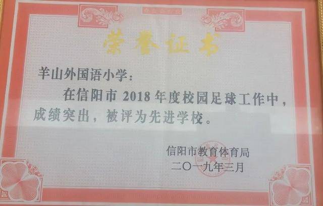 羊山外国语小学体艺教师团队荣获“信阳青年五四奖章集体”称号(图10)
