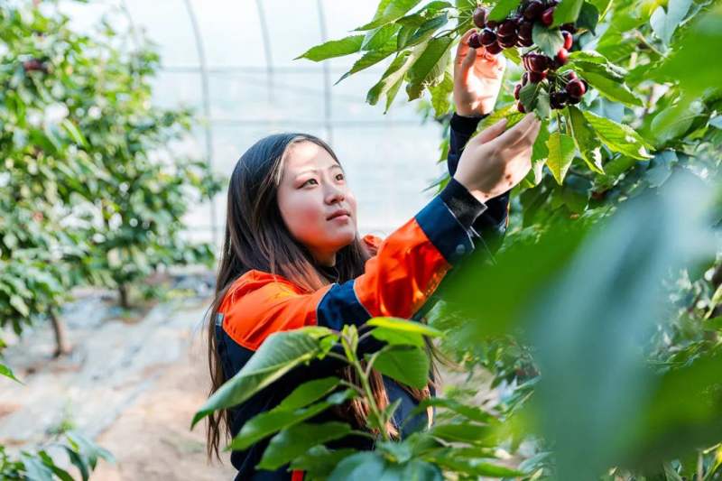喜报！顺义3人获2023年度“首都最美巾帼奋斗者”称号(图3)
