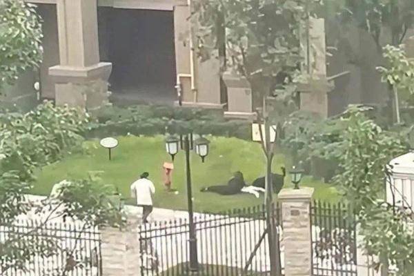 成都恶犬咬人事件中出手相助环卫工获“见义勇为”称号