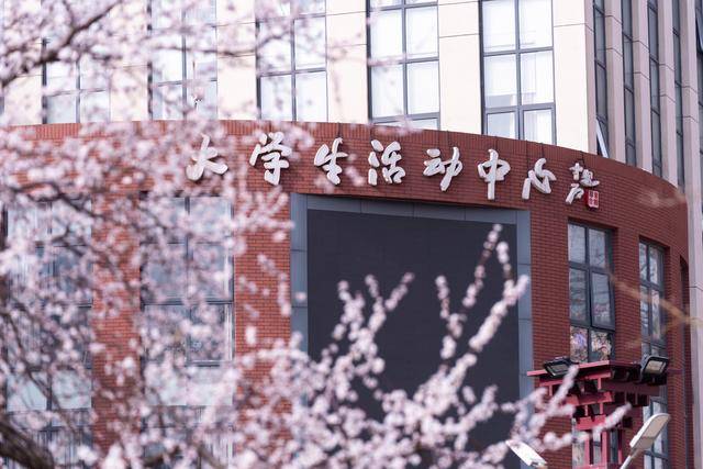 首都师范大学学生获评北京市优秀退役大学生士兵称号(图1)