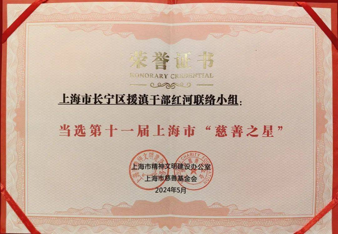 由长宁援滇干部组成的这支团队，荣获上海市“慈善之星”称号(图3)