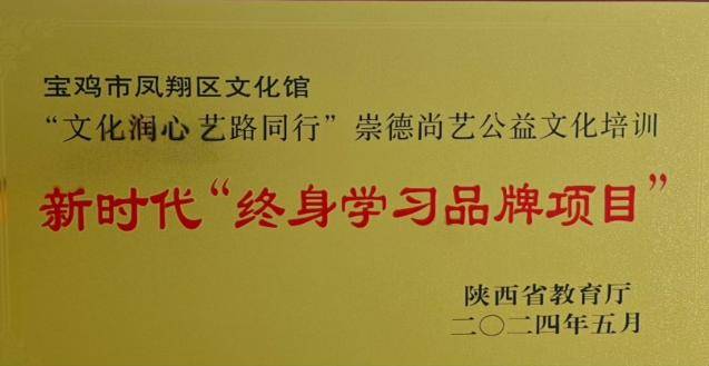 凤翔区法院高级法官杨舟平荣获2024年陕西省新时代“百姓学习之星”称号