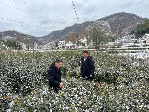 天风证券乡村振兴工作者获评“工作突出驻村第一书记”荣誉表彰(图5)