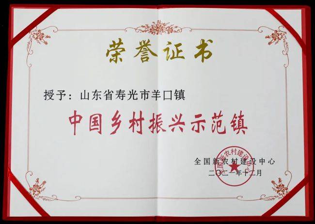 寿光市羊口镇荣获“中国乡村振兴示范镇”国家级荣誉称号(图2)