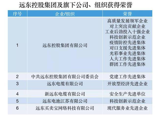 开门红！远东控股集团豪取14项荣誉(图2)