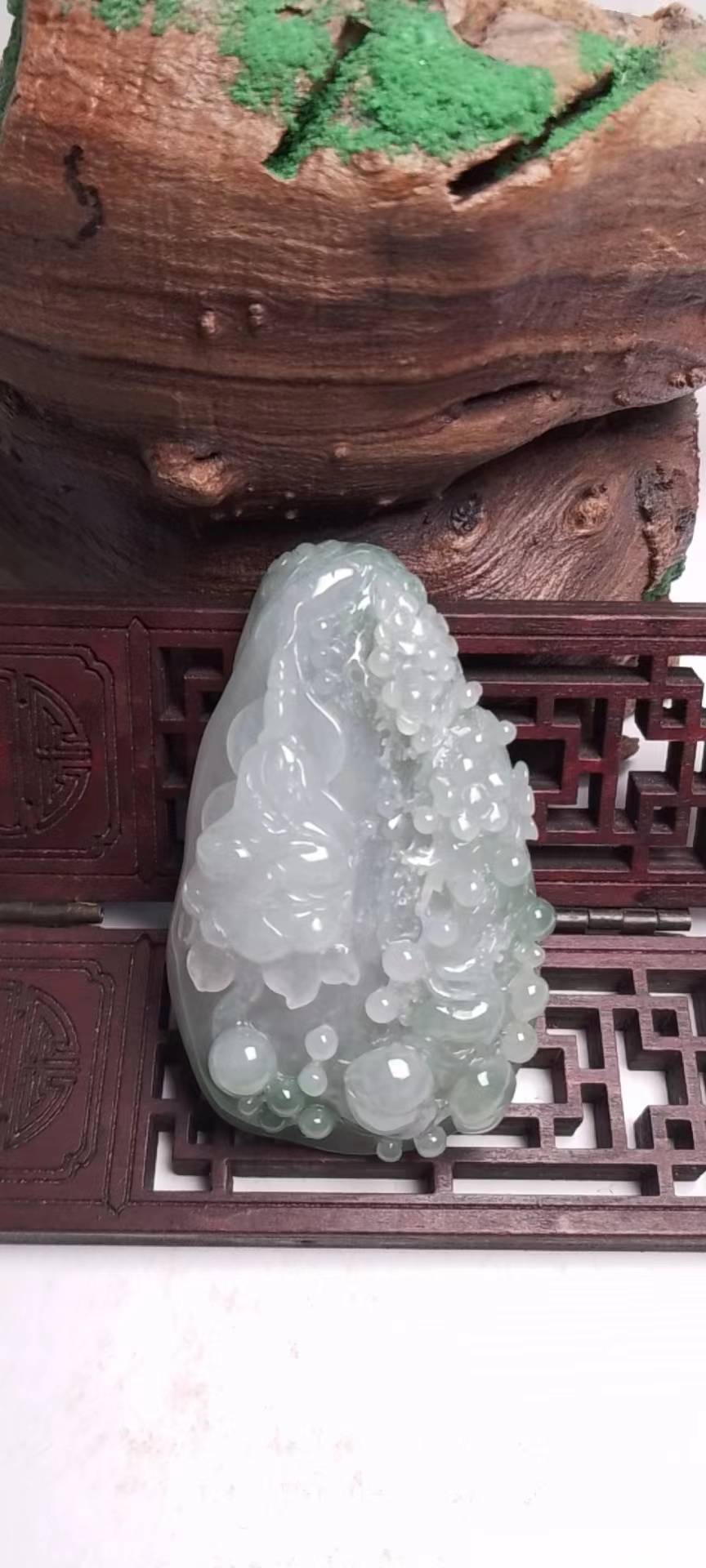 花开富贵604009