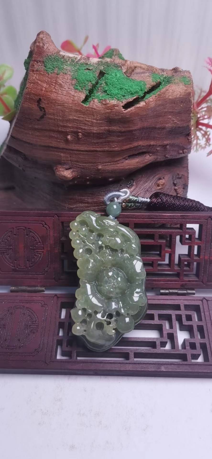 花开富贵604026