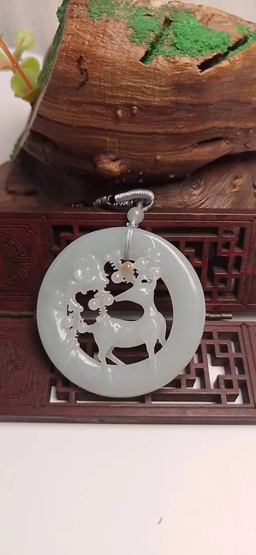 梅鹿同春