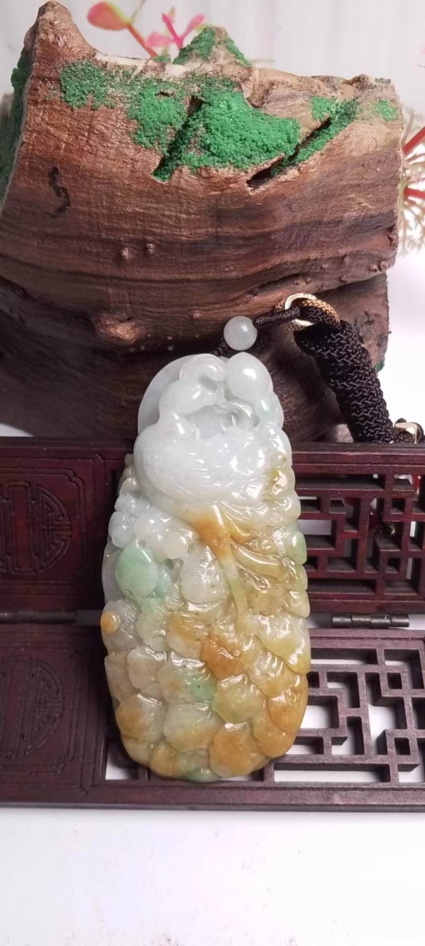 凤舞九天