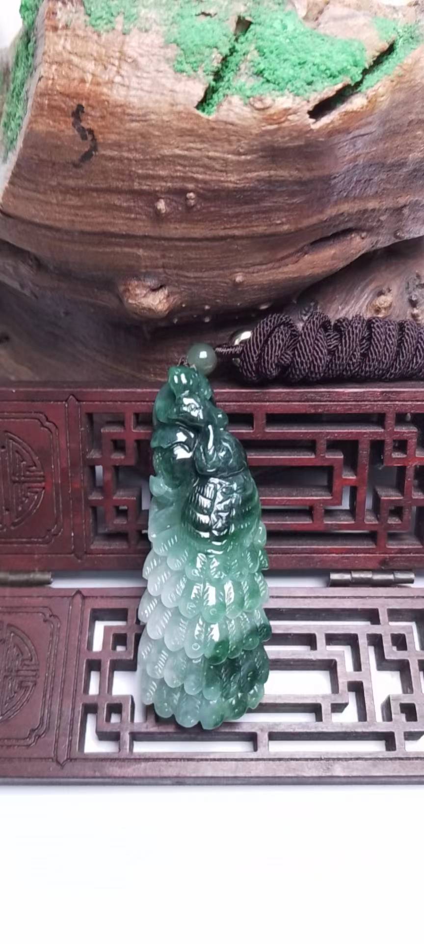 凤舞九天