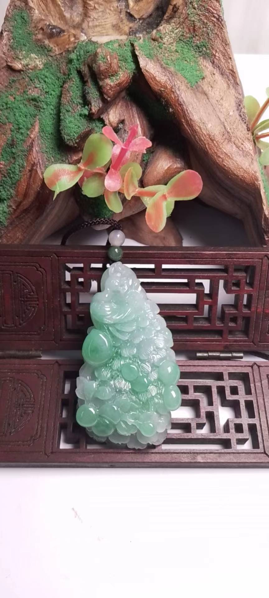 凤舞九天