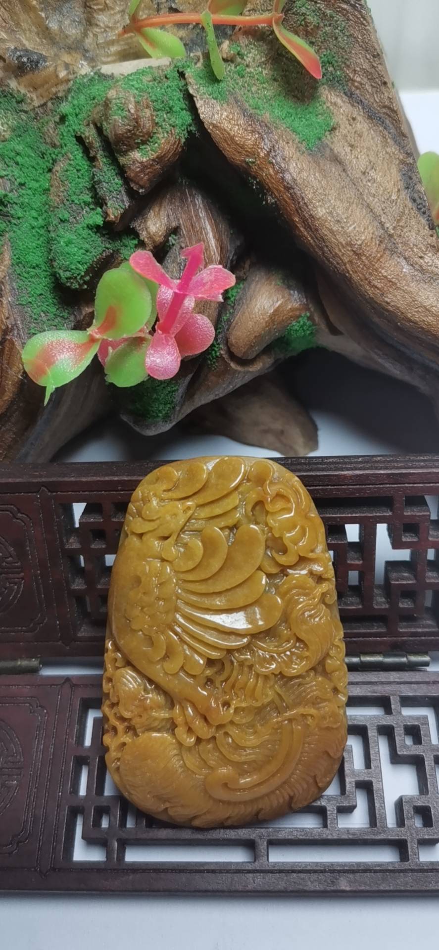 凤舞九天